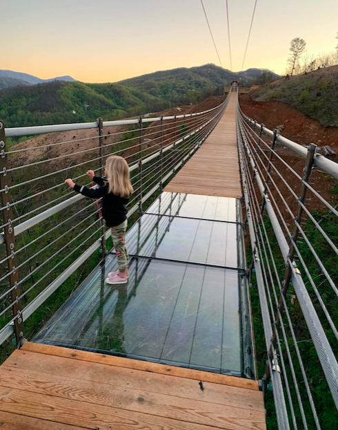 SkyBridge il Ponte sospeso più lungo di tutti gli Stati Uniti d'America - meteoweek.com