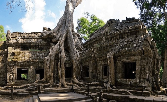 Tempio di Ta Prohm – Cambogia - meteoweek.com