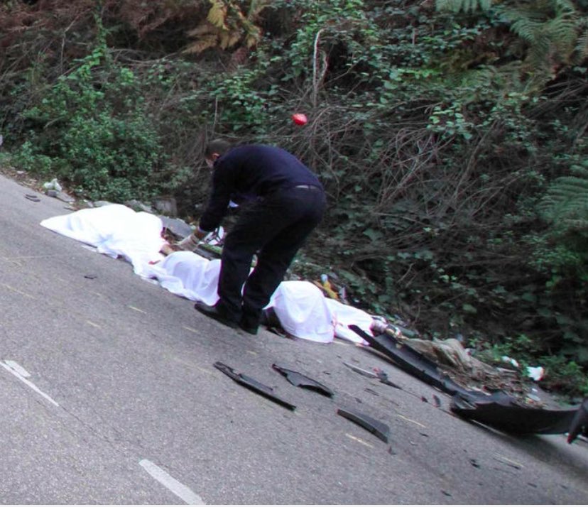 Nota un animale ferito, scende dall’auto per soccorrerlo, viene investito e ucciso