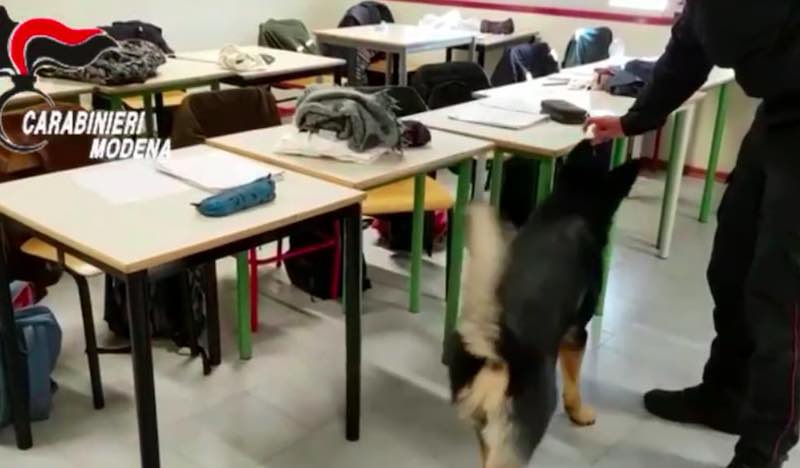 Modena: Orrore nelle scuole diventate piazza di spaccio. 35 denunce
