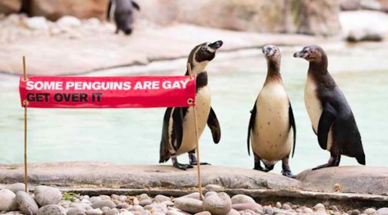 gay pride Londra due pinguini lebische mamme - meteoweek.com