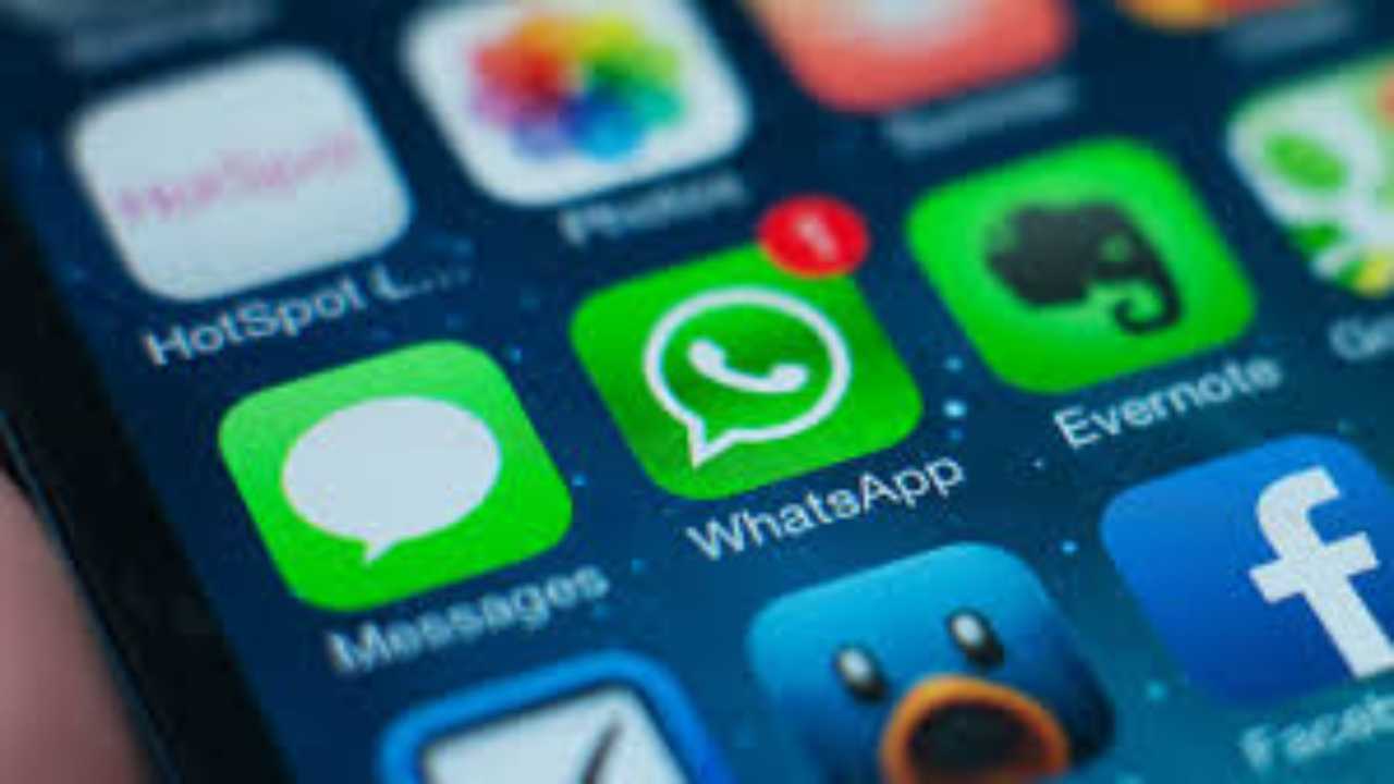 WhatsApp stop alle notifiche per le chat silenziate anche per IOS - meteoweek