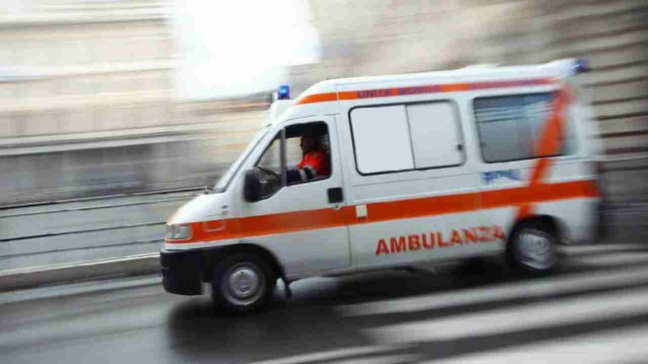 Maltempo, Pozzuoli: cade un albero sopra un bus | Ferito l'autista - meteoweek