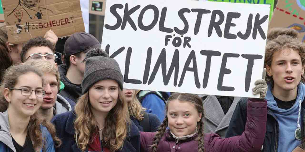 Fridays for future manifestazione