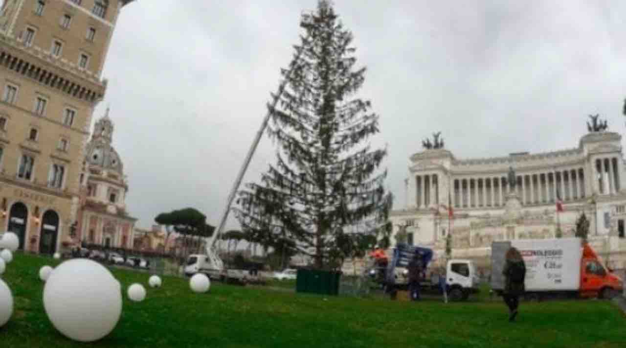 Albero Di Natale Roma 2020.Roma A Natale Torna Spellacchio In Piazza Venezia