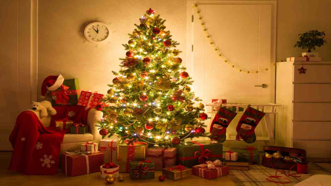 Albero Di Natale Origini.Albero Di Natale Le Origini Dimmi Quando Lo Addobbi E Ti Diro Se Sei Felice