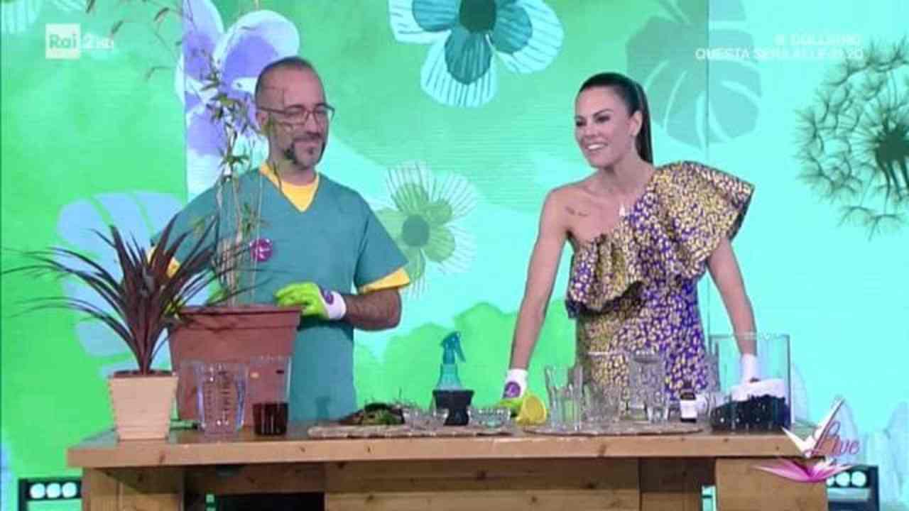 Fabiano Oldani chi è | carriera e vita privata del floricoltore - meteoweek