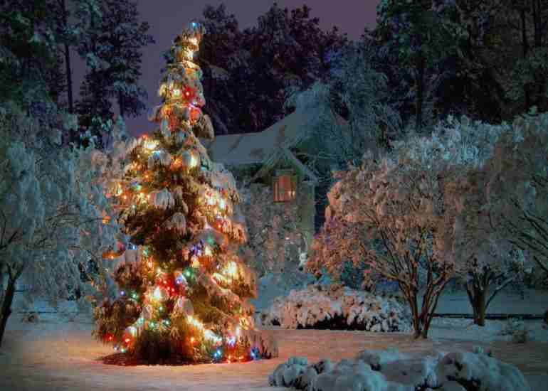 La Leggenda Dell Albero Di Natale Per Bambini.Albero Di Natale Le Origini Dimmi Quando Lo Addobbi E Ti Diro Se Sei Felice