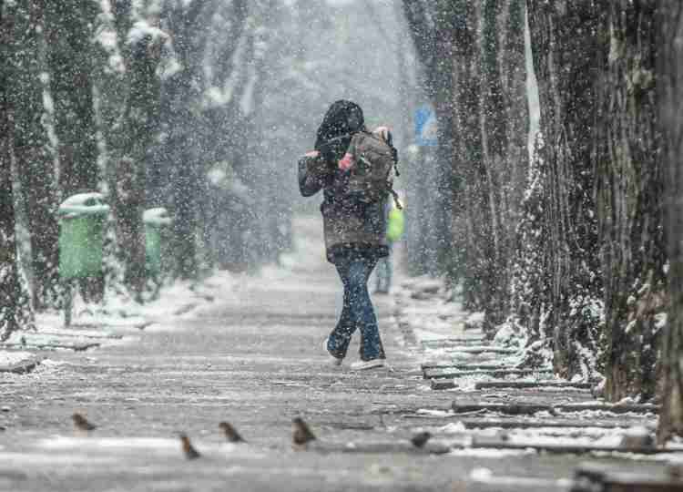 NEVICA AL NORD