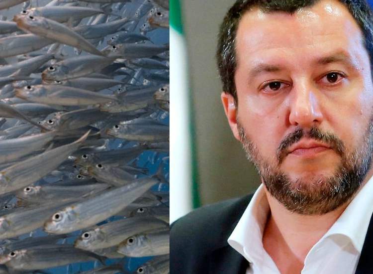 LE SARDINE INVADONO ROMA