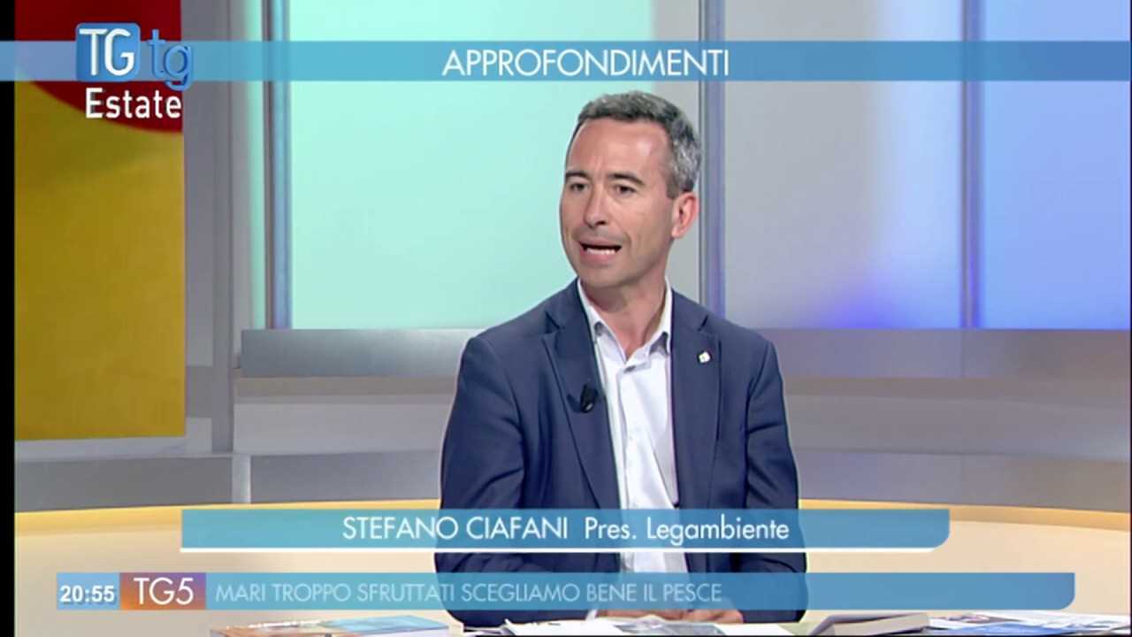 Stefano Ciafani chi è | carriera e vita privata dell'ingegnere ambientale - meteoweek