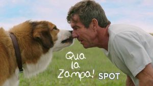 Qua la zampa | La trama e il trailer del film (mercoledì 1 gennaio) - meteoweek