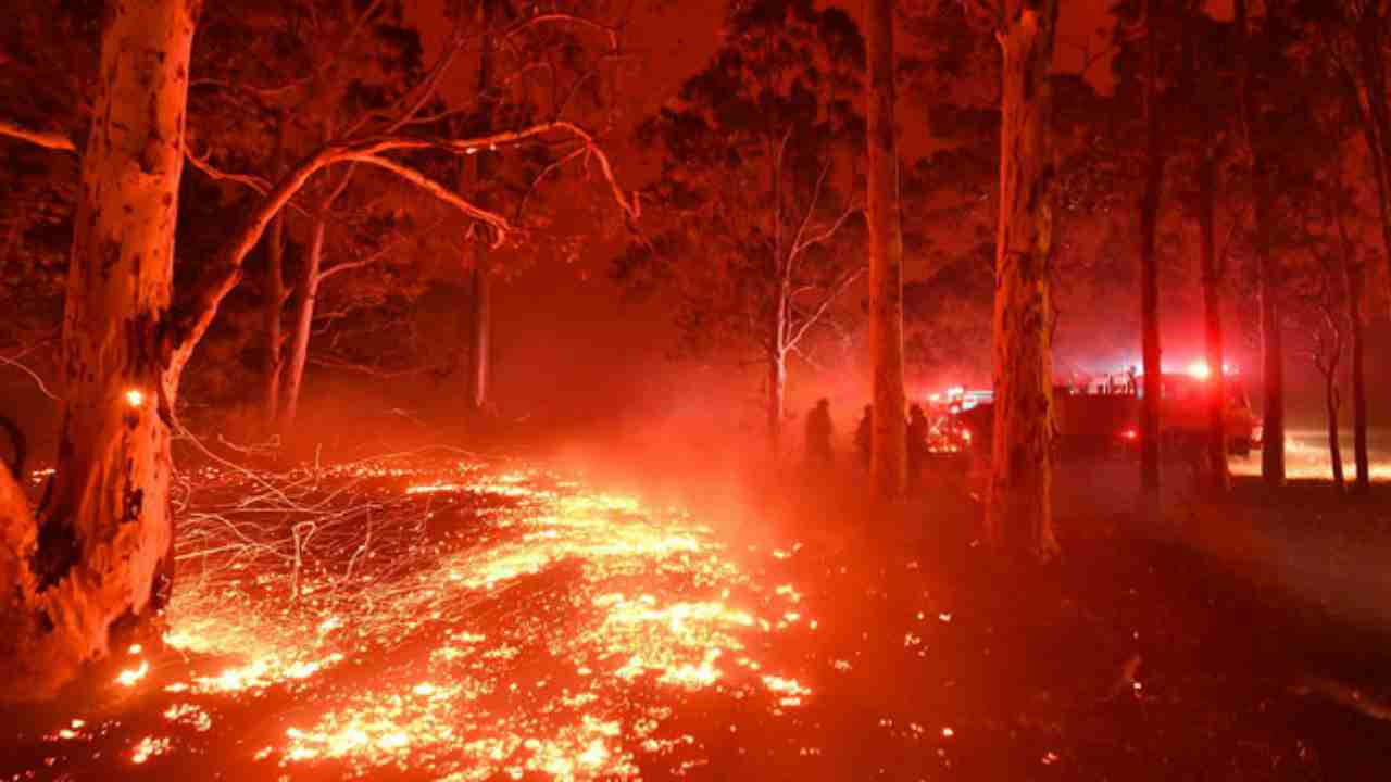 morti negli incendi australia