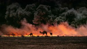 AUSTRALIA UCCIDE 10 MILA CAMMELLI