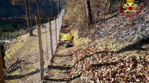 muore mentre brucia sterpaglie
