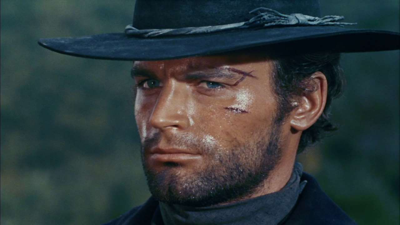 Terence Hill chi è | carriera e vita privata dell'attore - meteoweek