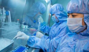 due casi virus cinese in francia