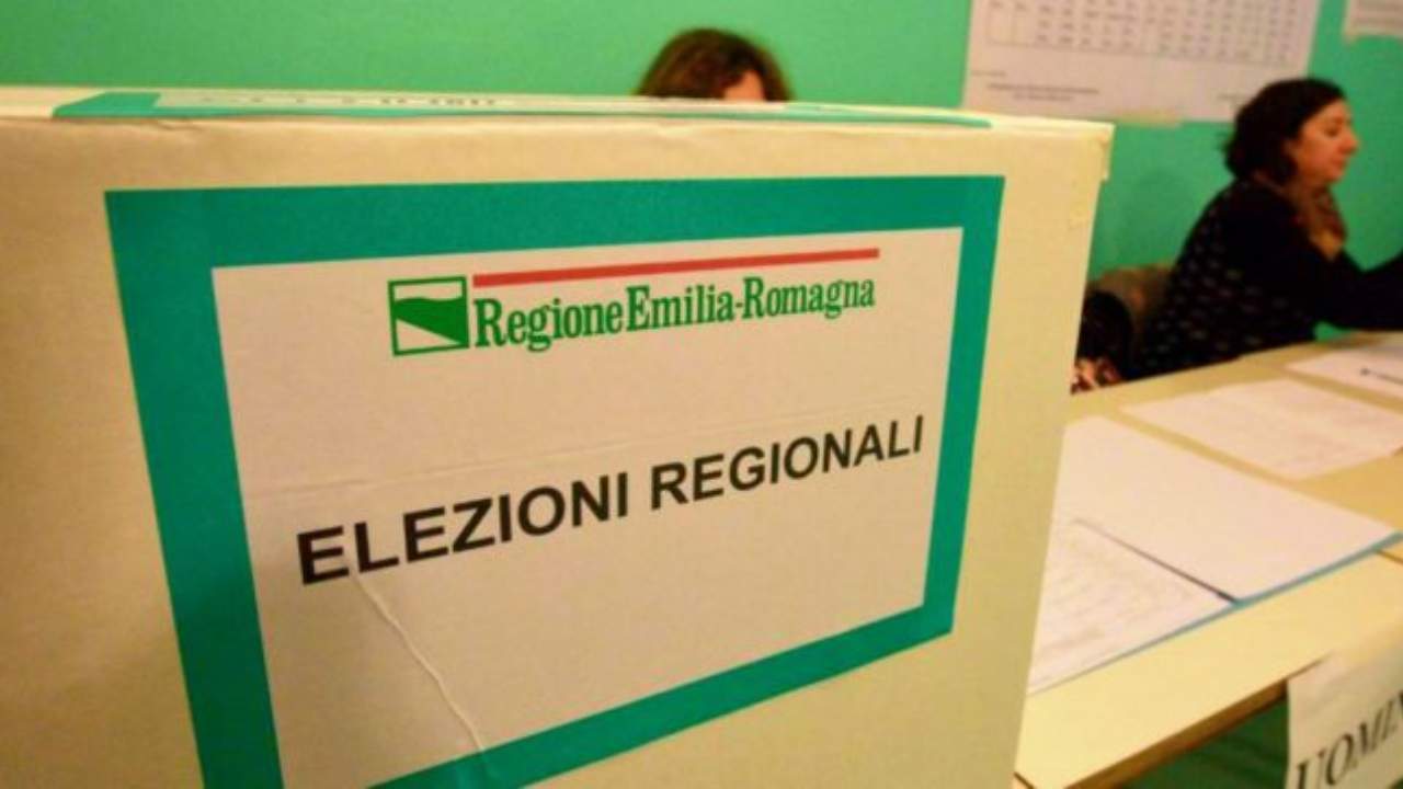 elezioni affluenza