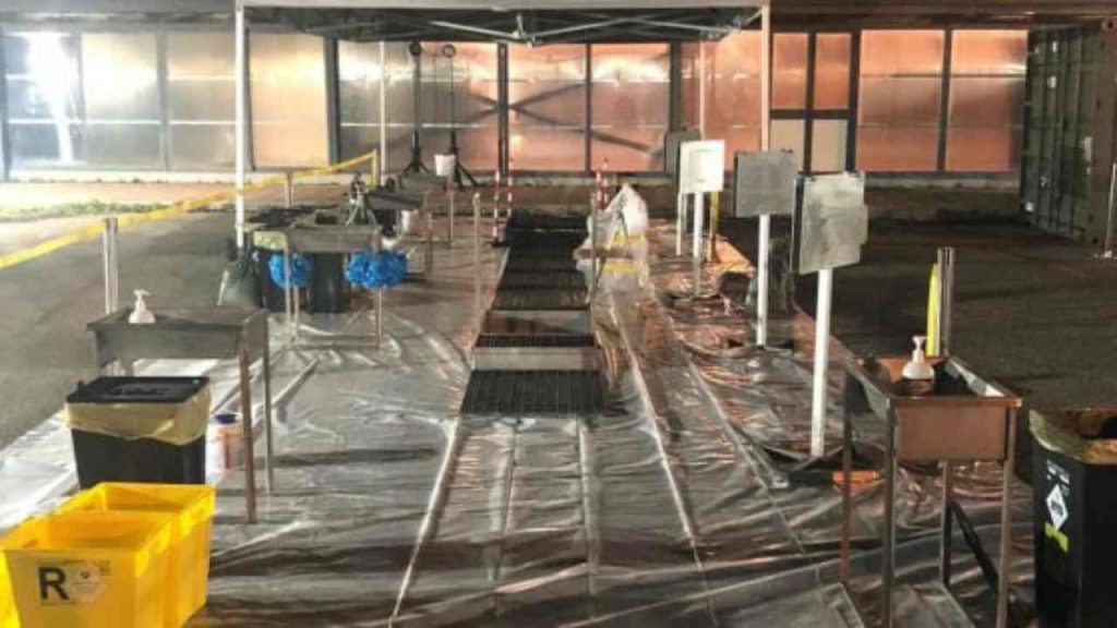 Tornati i connazionali dalla Diamond Princess, nuovo contagio in Veneto