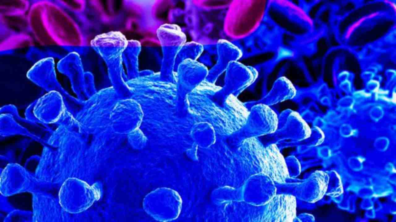 coronavirus
