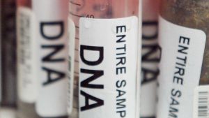 Tumori e invecchiamento, scoperto kit Dna (GettyImages)