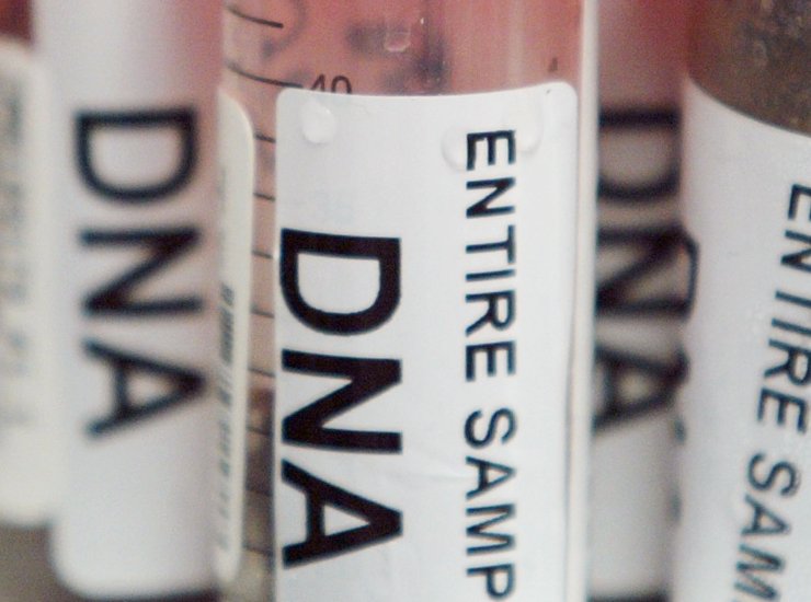 Dna 