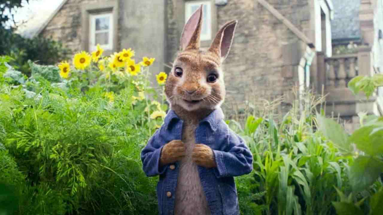 Peter Rabbit 2 – Un birbante in fuga-meteoweek.com