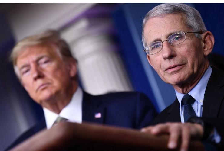 anthony fauci - trump