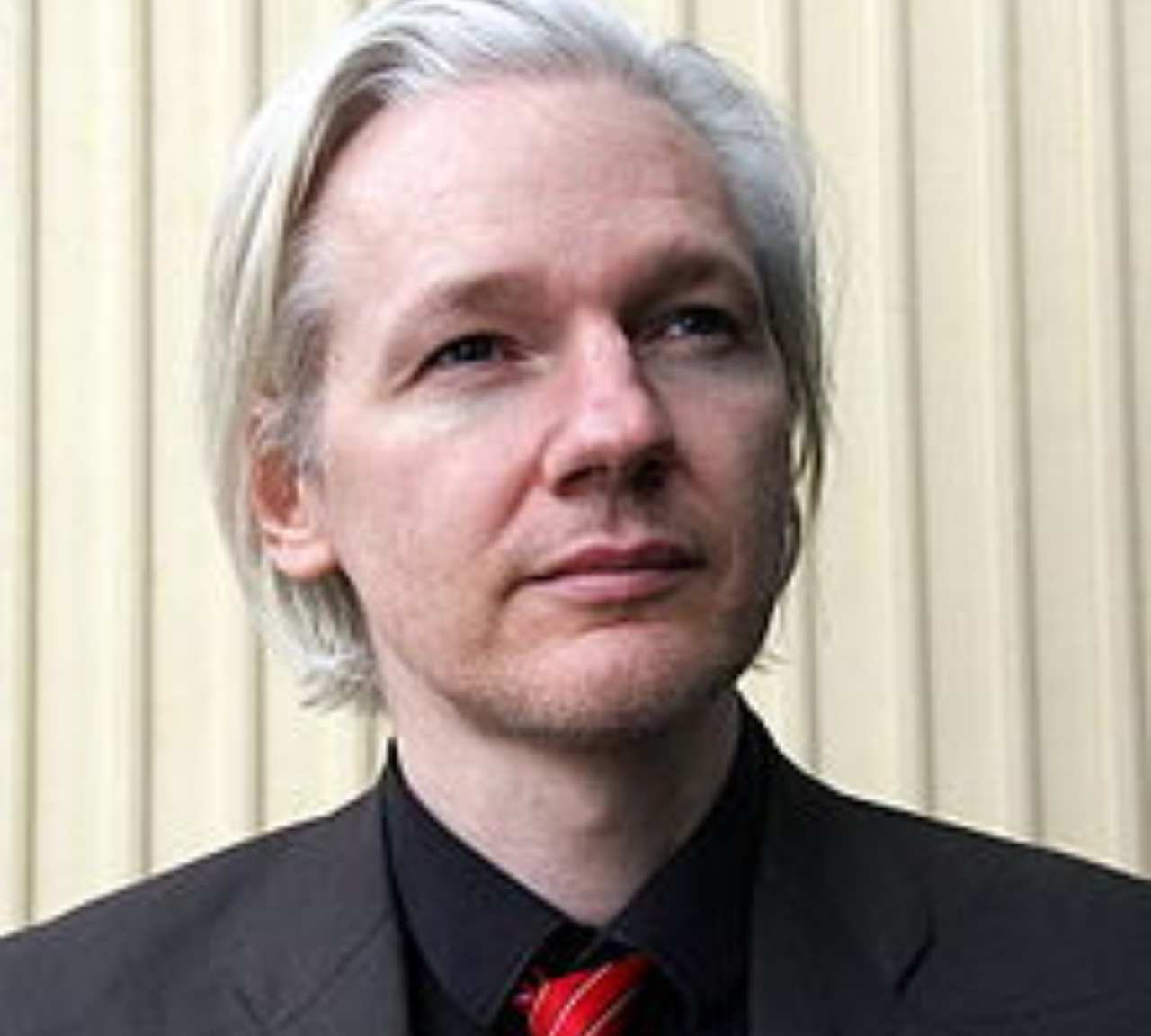 assange figli