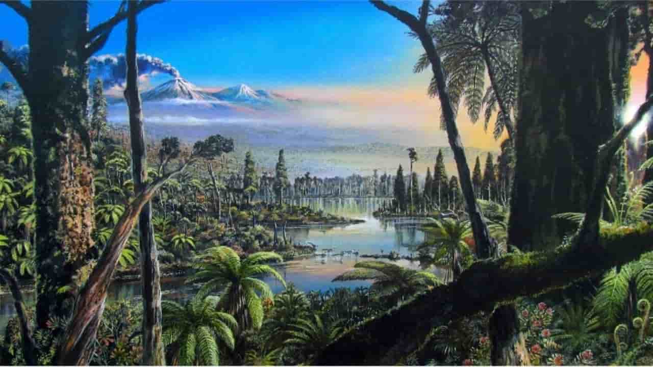 antartide - antica foresta pluviale