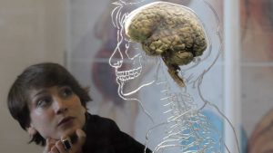 Cervello, scoperti neuroni che registrano le esperienze