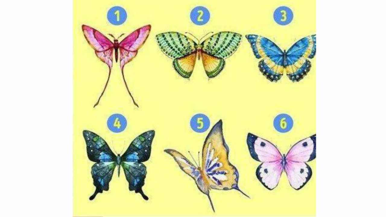 2 Viti A Farfalla Rapide M6x30 - Manopola Stella In Plastica Per Serraggio Manuale - Foto 13