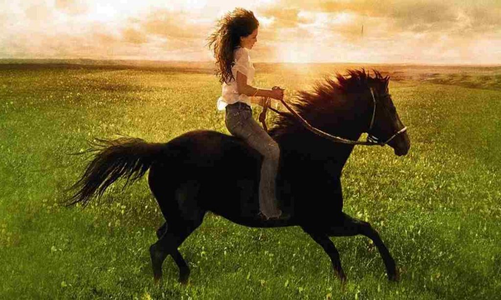 Stasera in tv | 19 maggio | Flicka, l’amicizia tra una ragazza e il suo cavallo