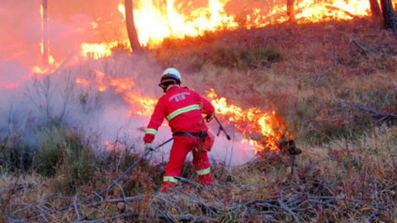 incendio bosco pisa