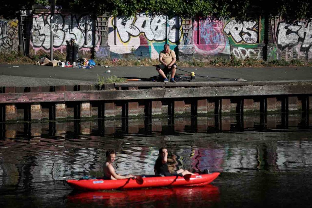 I pesci del Tevere stanno morendo: ecco cosa sta succedendo