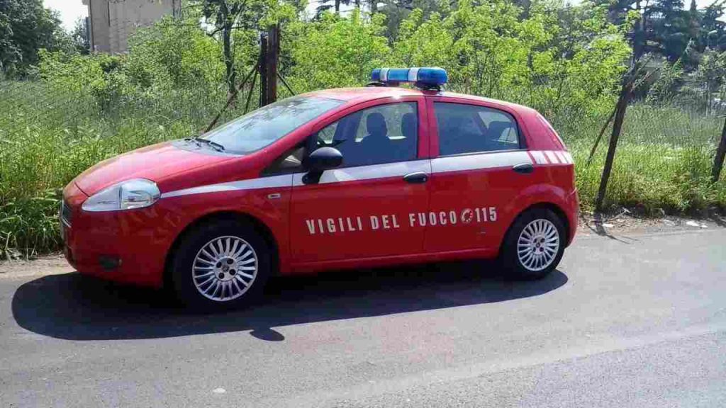 Cavallo cade nel lago, 23enne tenta di salvarlo ma annega