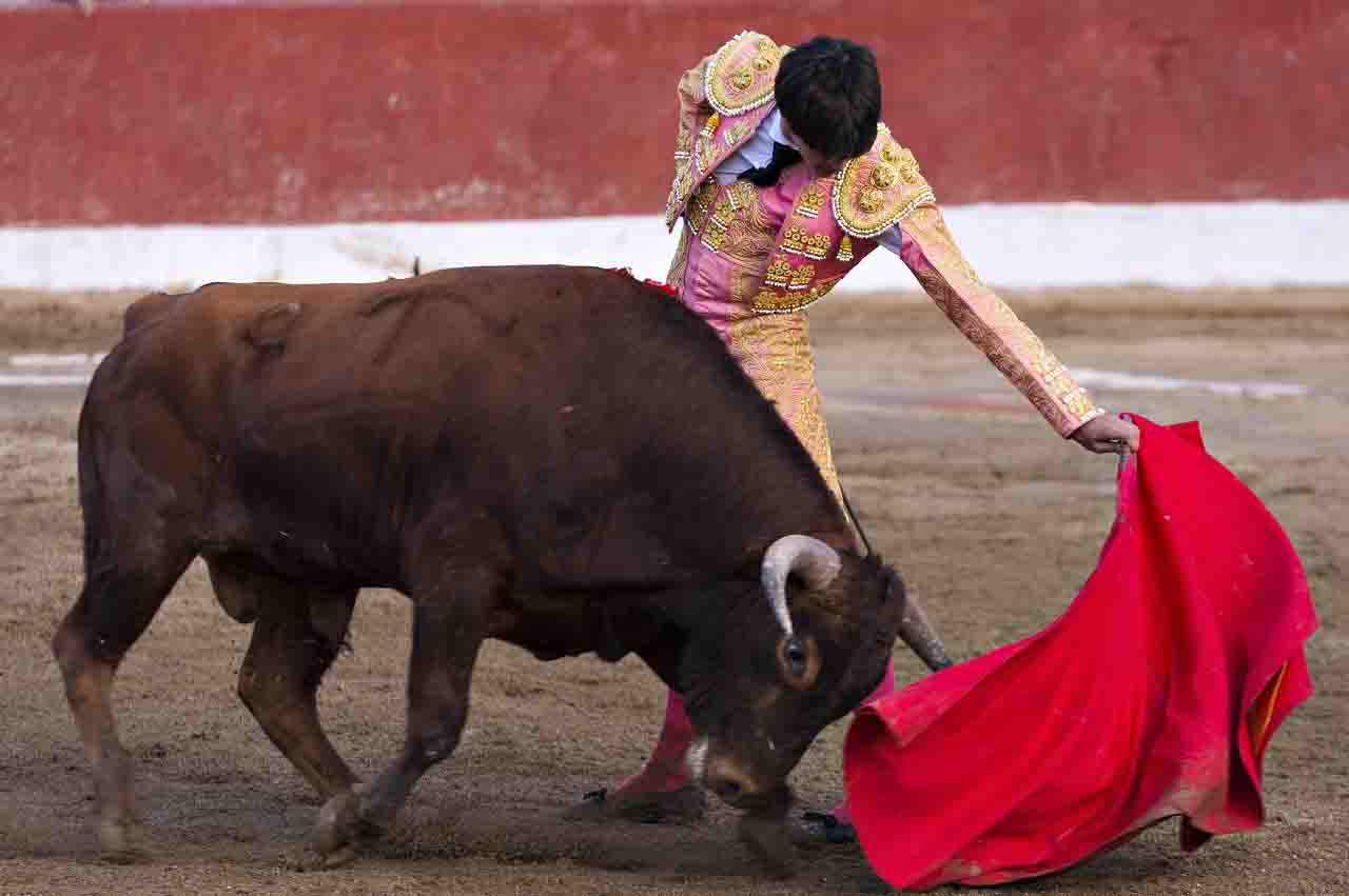 Corrida indagine LAV videodenuncia