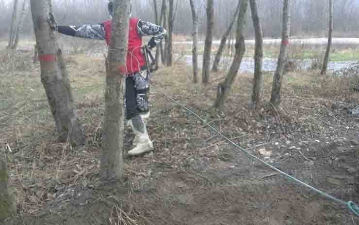 Filo di ferro tra gli alberi