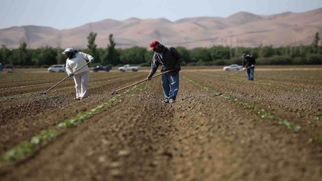 Flop sanatoria migranti: scadenza prorogata fino al 15 agosto