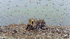 Sicilia, traffico illecito rifiuti: in manette anche il re delle discariche