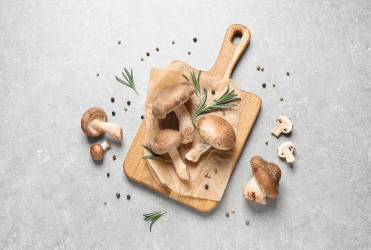 Funghi-Meteoweek.com