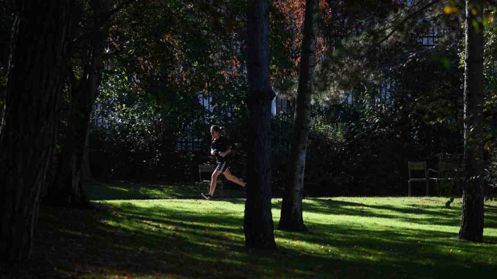 Donna azzannata in Salento mentre faceva jogging: colpa di un lupo?