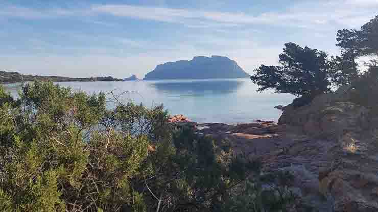 Luca Palamara prestanome lido in Sardegna