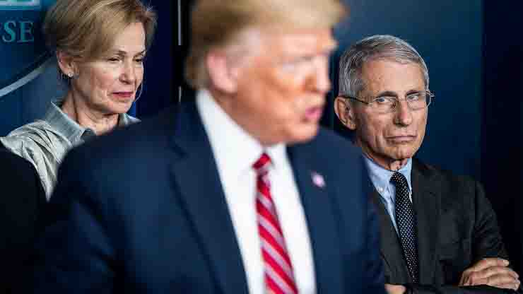 Scontro tra Trump Anthony Fauci coronavirus 99% innocuo