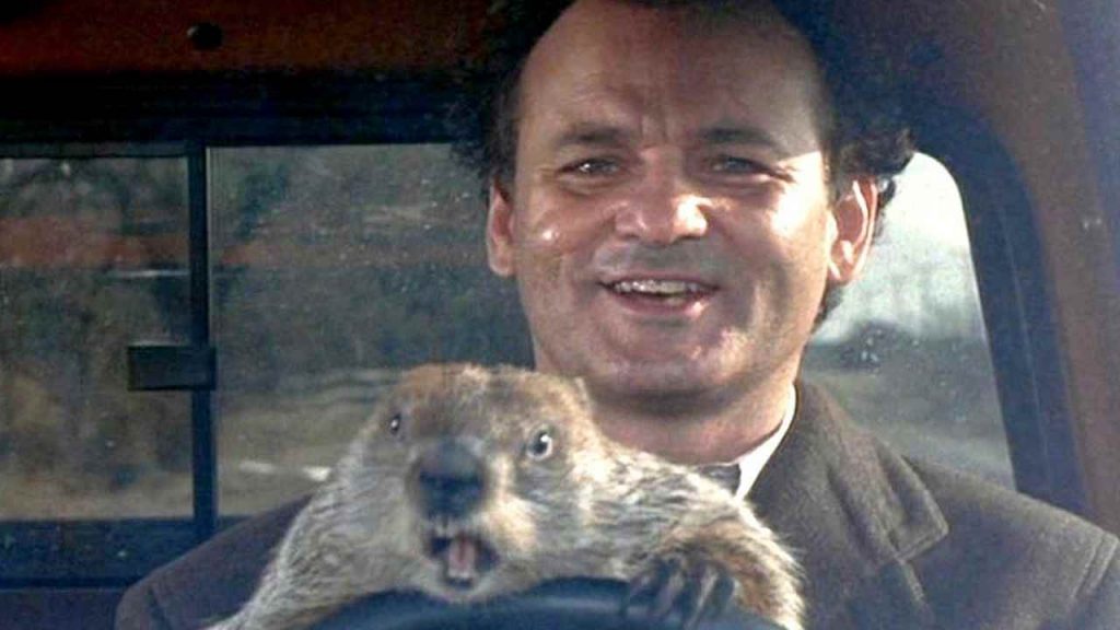 Il giorno della marmotta | il celebre film anni ’80 diventerà una serie tv?