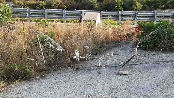 Viviana Parisi Gioele torna ipotesi incidente in auto