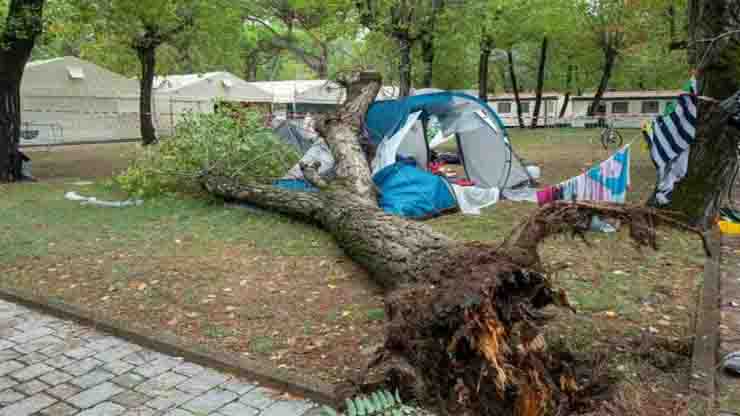 albero sradicato dal mal tempo crolla e uccide due sorelle in campeggio una era una promessa del judo