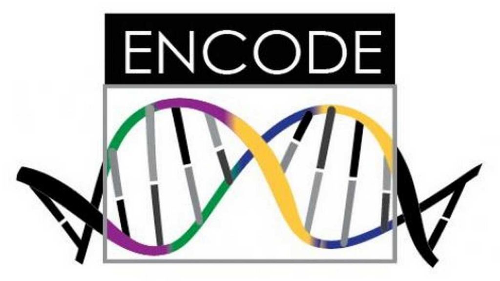 Progetto Encode, è ora online la centrale di controllo del codice della vita