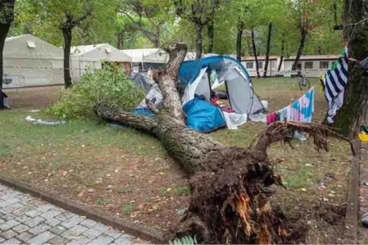 Le due sorelline morte uccise dall'albero in campeggio, il padre chiede giustizia