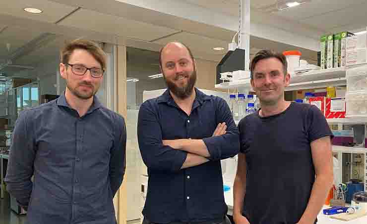 Il team del Dipartimento di Microbiologia, Oncologia e Biologia cellulare del Karolinska Institutet: (da sinistra)  Leo Hanke, Ben Murrell and Gerald McInerney